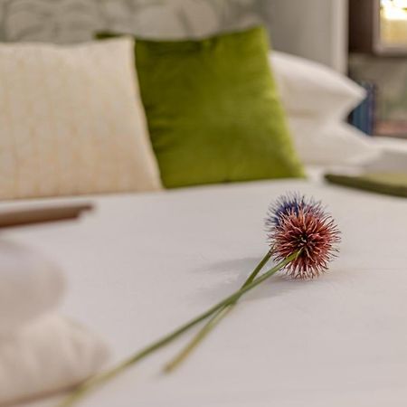 Green Terrace Loft Colosseum Rome Extérieur photo